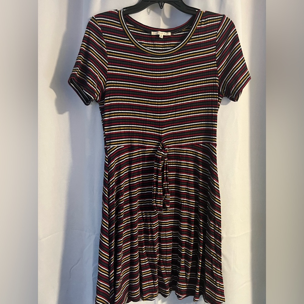 Striped Skater Mini Shirt Dress